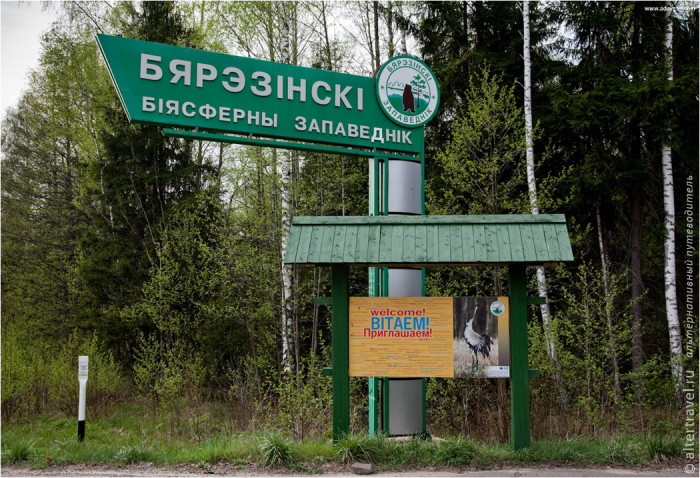 Berezinsky Biosphere Reserve.