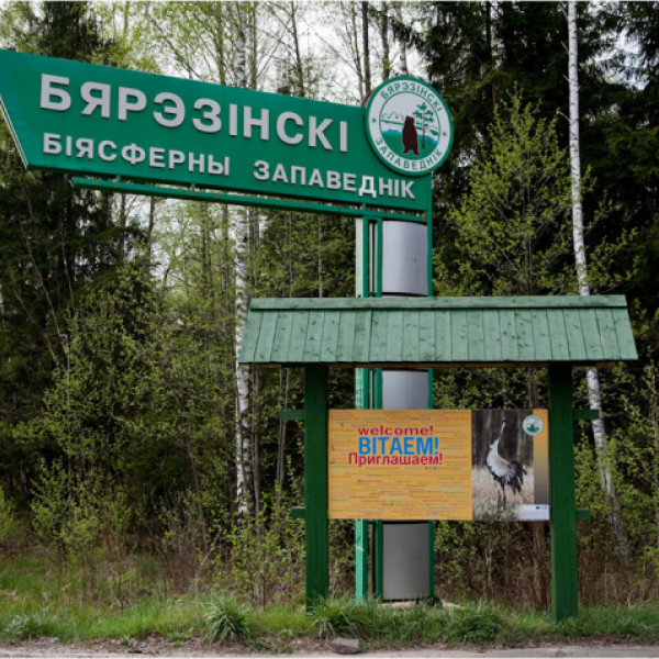 Berezinsky Biosphere Reserve.