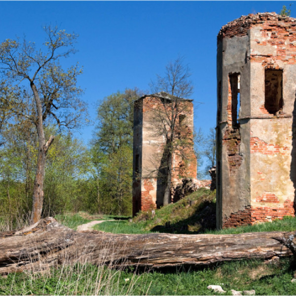 Руины замка Сапег. 