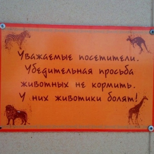 Zoo "Baba Frosya" ( ostrich farm )