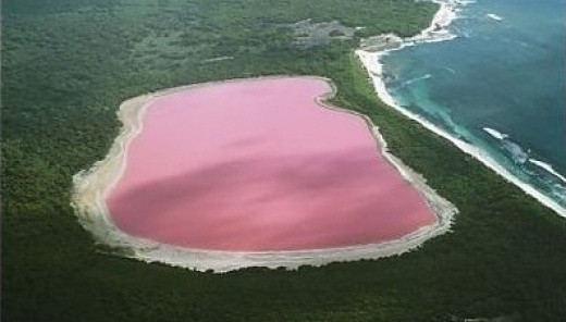 «Розовое» озеро Хильер