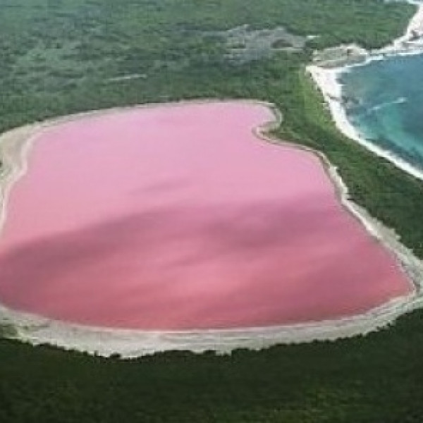 «Розовое» озеро Хильер