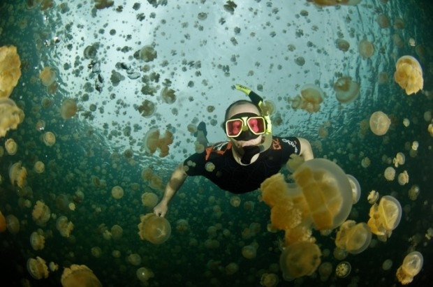 Медузное озеро