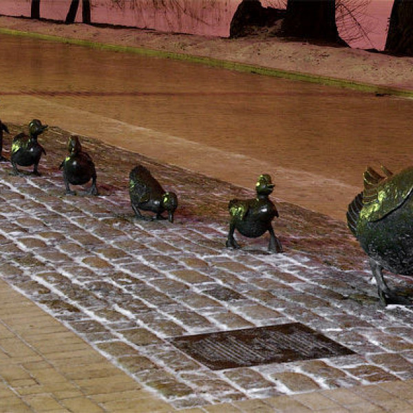 Monument to ducklings crossing the road