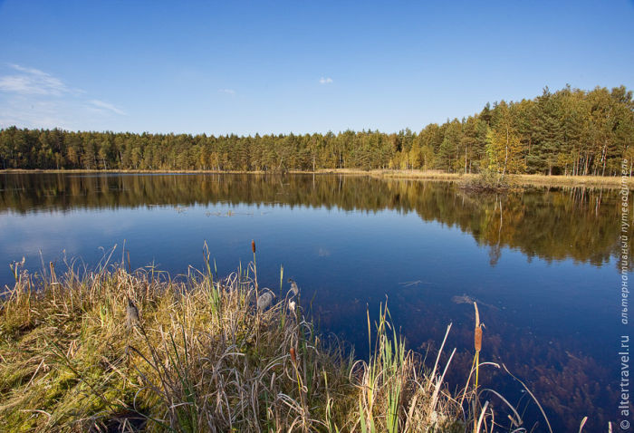 Lopatinskoye and Shishovskoye lakes