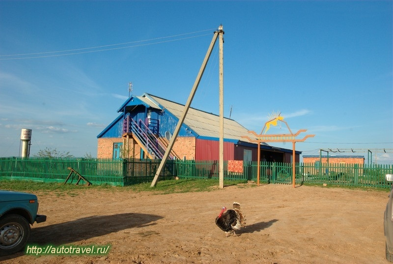 Центр диких животных Республики Калмыкия