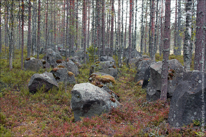 Противотанковые заграждения, Советско-Финская линия фронта