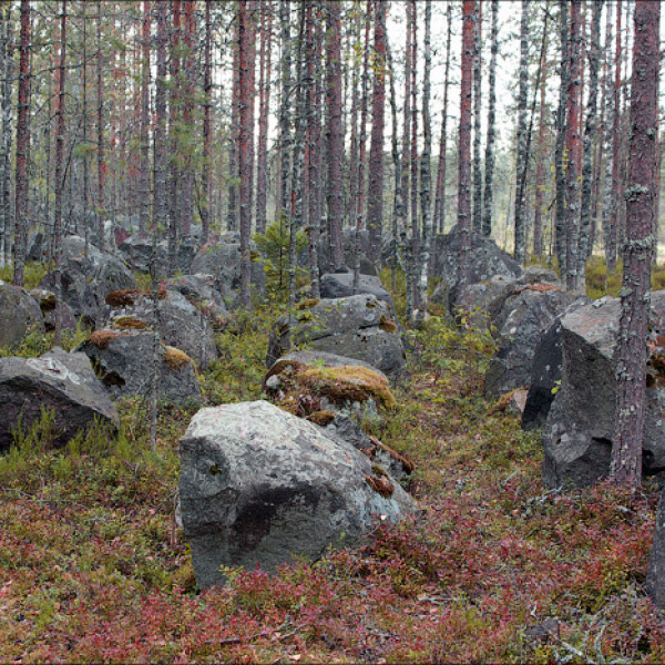 Противотанковые заграждения, Советско-Финская линия фронта