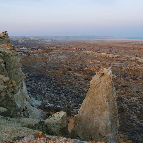 The modern coast of the Aral Sea