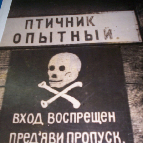 Музей Чижевского