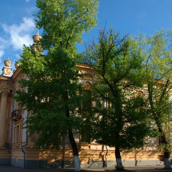 Таганрогский краеведческий музей