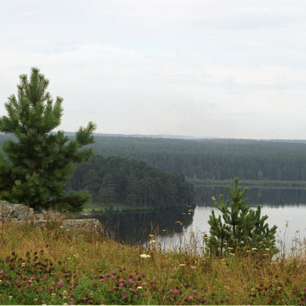 Плотина, пруд, старый завод