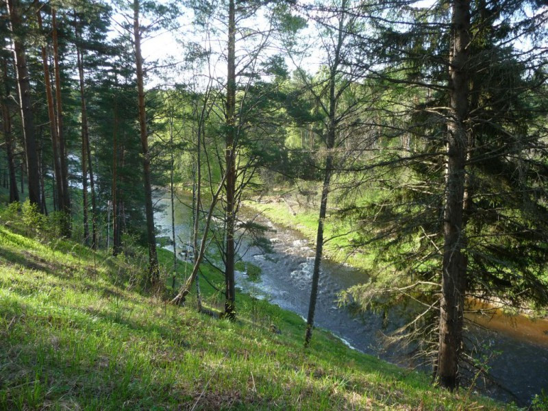Скалы на реке Дёрже (Мозгово)