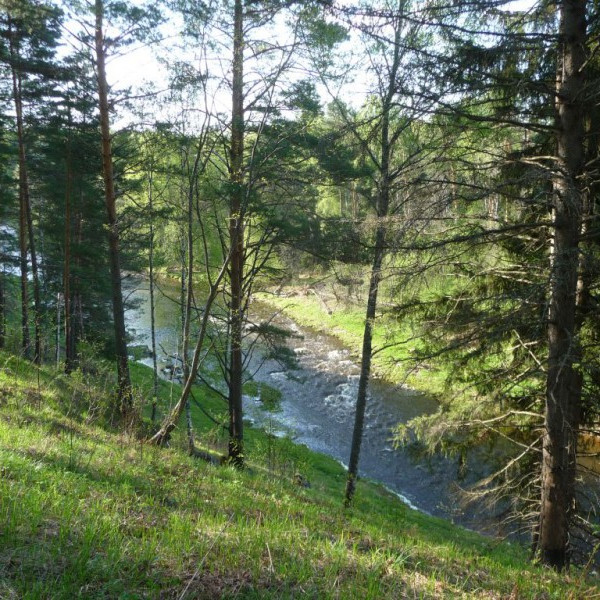 Скалы на реке Дёрже (Мозгово)