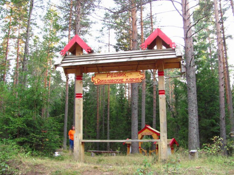 Родник "Соколовские ключи"