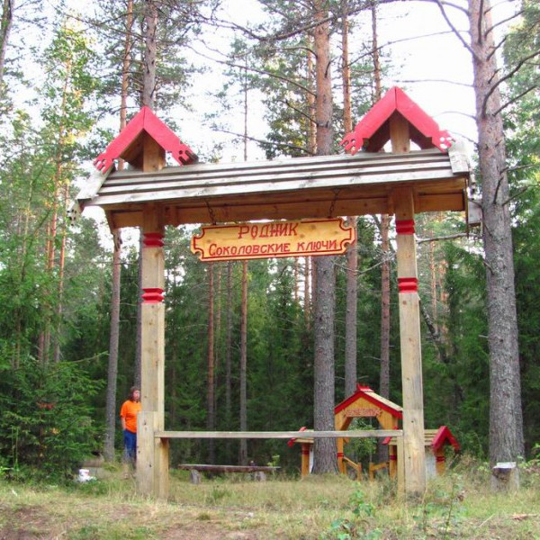 Родник "Соколовские ключи"