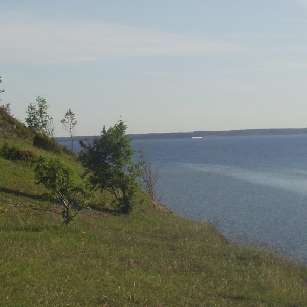 Пангаский клиф (Панга)