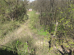 Городище "Бурцева Гора"