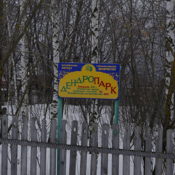 Дендропарк