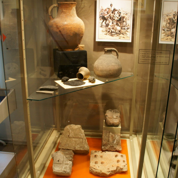 Волгодонской эколого-исторический музей