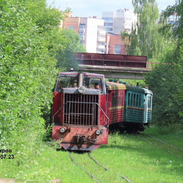 Каринская узкоколейная железная дорога