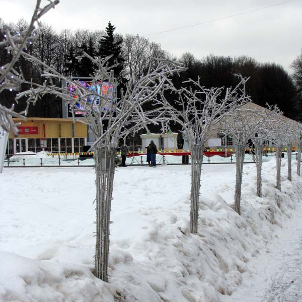 Парк Сокольники