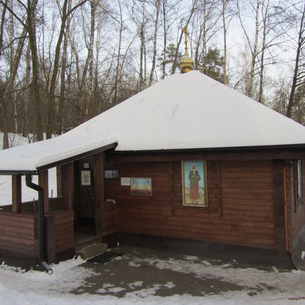 Святой источник блаженной Ксении Петербургской