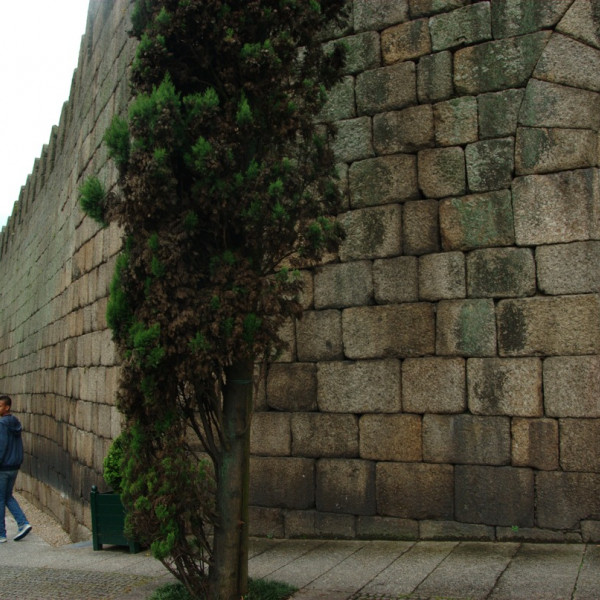 Крепостная стена Гимарайнша/Muralhas de Guimarães