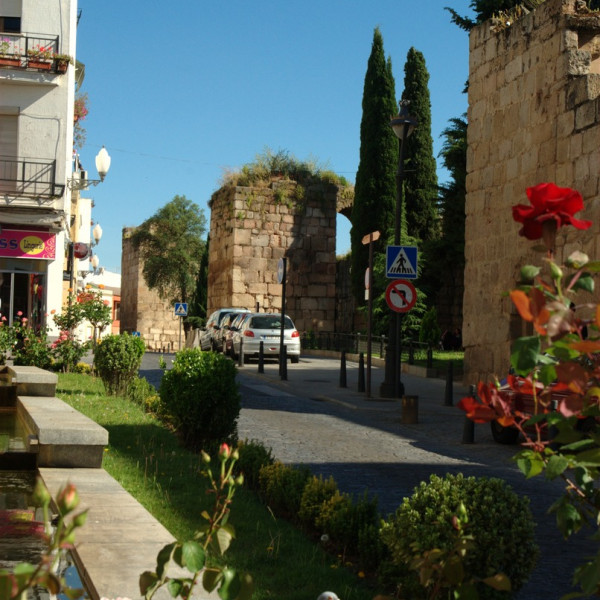 Алькасаба/Alcazaba