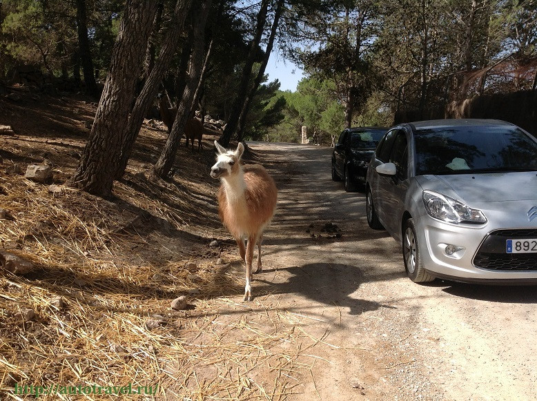 Зоопарк Safari Aitana