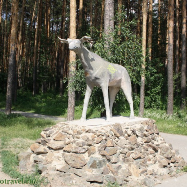 Тропа здоровья