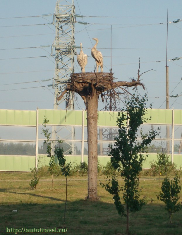 Скульптура "Аисты" (Пермь)