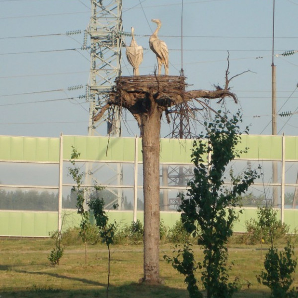 Скульптура "Аисты" (Пермь)