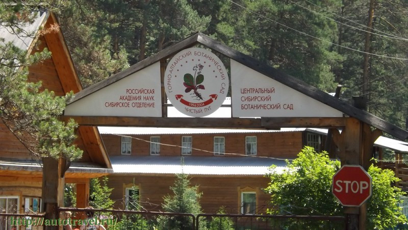 Горно-Алтайский ботанический сад (Камлак)