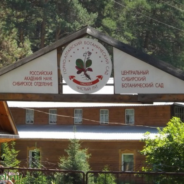 Горно-Алтайский ботанический сад (Камлак)